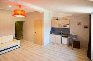 Гостиница Есенин Курган Улучшенный номер с кухней и диваном-2